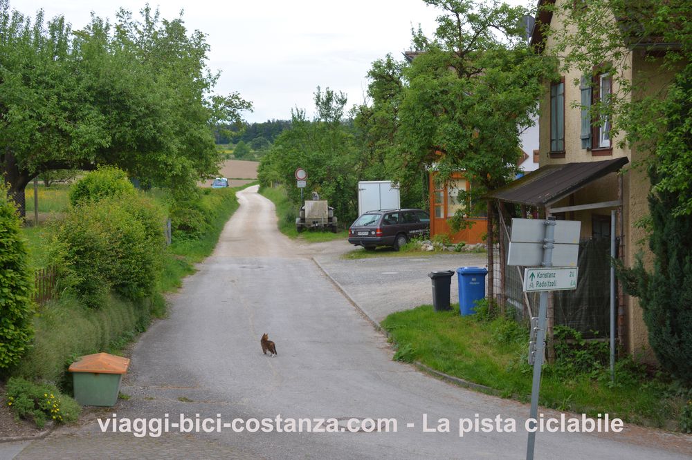 La pista ciclabile - Lago Costanza - Stahringen