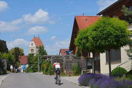 Bodensee-Radweg in Bodman
