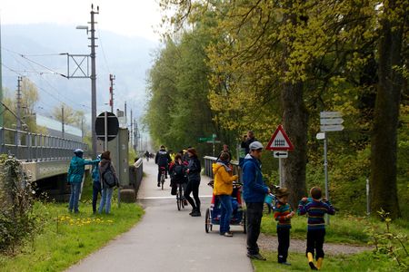 Bodensee-Radweg bei Lochau
