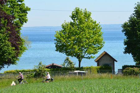 Bodensee-fietsroute in Frasnacht