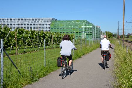 Bodensee-fietsroute in Egnach