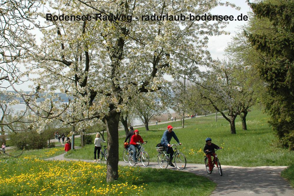 Cycling along Lake Constance - Lake Constance Cycle Path