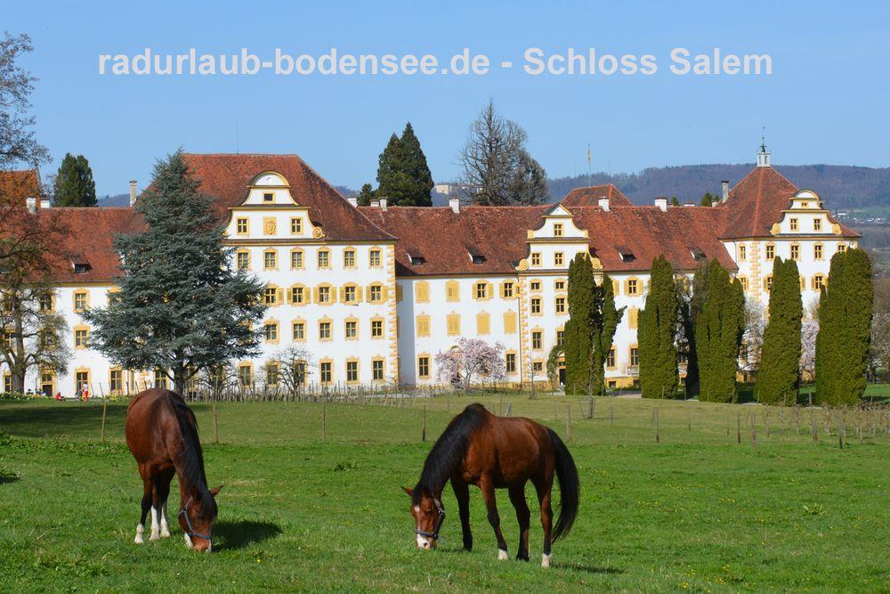 Radurlaub am Bodensee - Schloss Kloster Salem