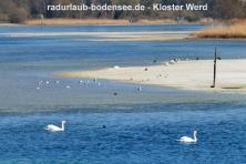 Radurlaub am Bodensee - Kloster Werd